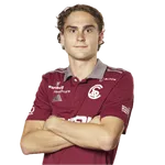 Leo Mink
