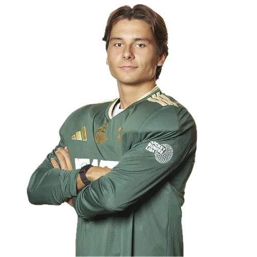 player image